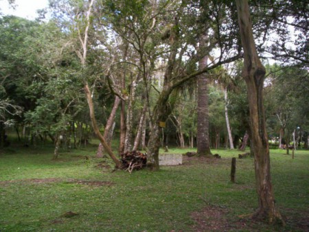 Bosque da Praça de Esporte Arthur Oberg - Local da Festa do Colono